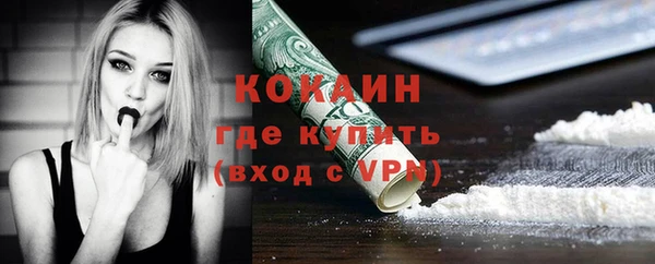 дмт Ладушкин