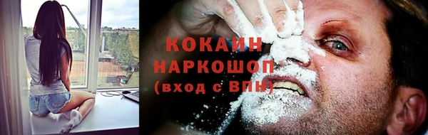 дмт Ладушкин