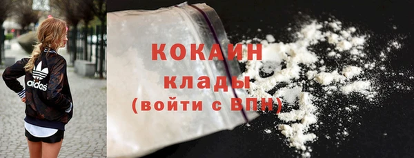 дмт Ладушкин