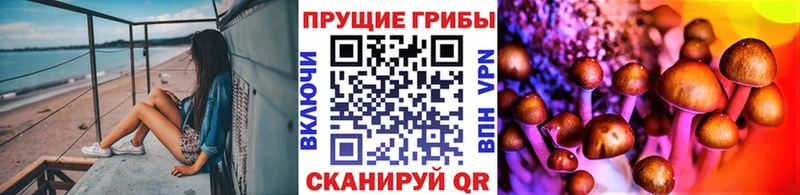 Галлюциногенные грибы мицелий  где купить наркотик  Спас-Клепики 